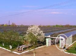 Хроніки з поля бою: Збройний спротив рейдерам у Львові Хроніки з поля бою: Збройний спротив рейдерам у Львові