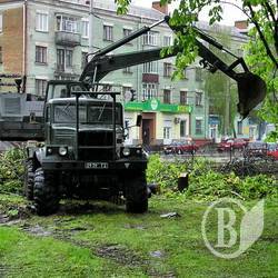 Забудовники знищують центральну алею Чернігова. ФОТОрепортаж Забудовники знищують центральну алею Чернігова. ФОТОрепортаж