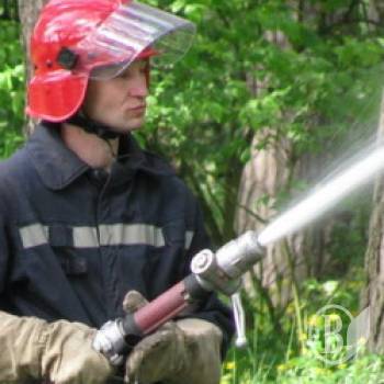 Лісова пожежа без диму сталась на Чернігівщині. ФОТО Лісова пожежа без диму сталась на Чернігівщині. ФОТО