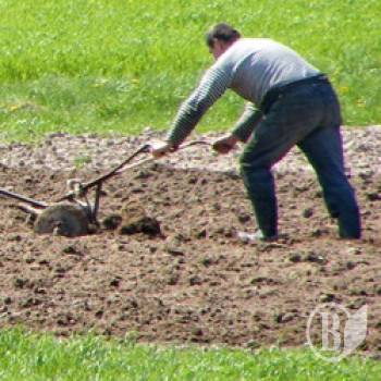 У село з тролейбусами – ґендерну рівність! У село з тролейбусами – ґендерну рівність!