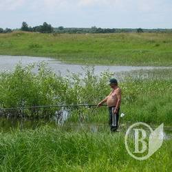Нерест-2008: Підсумки операції Нерест-2008: Підсумки операції
