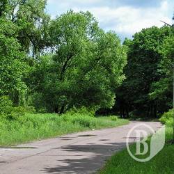Крос: Олімпійський день бігу. Анонс Крос: Олімпійський день бігу. Анонс