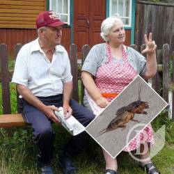 Заїдає,сучка!