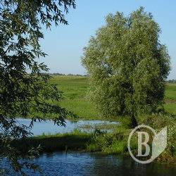 Купання стає смертельним чи не щодня Купання стає смертельним чи не щодня
