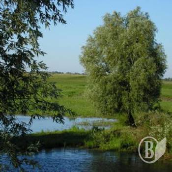 Купання стає смертельним чи не щодня Купання стає смертельним чи не щодня