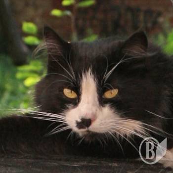 �����, �����... ��� � ����� ������� �����! ����������