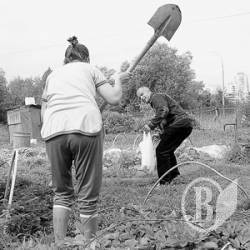 Самосуд: Односельця підвісили і побили