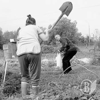 Самосуд: Односельця підвісили і побили Самосуд: Односельця підвісили і побили