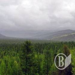 Кореспондент Високого Валу: Репортаж з копалень ГУЛАГу Кореспондент Високого Валу: Репортаж з копалень ГУЛАГу