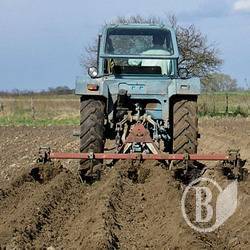 Селяни Бобровиччини заробляють втричі більше, ніж Новгород-Сіверщини Селяни Бобровиччини заробляють втричі більше, ніж Новгород-Сіверщини