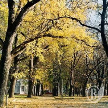 Осінні алеї. ФОТОпрогулянка Осінні алеї. ФОТОпрогулянка