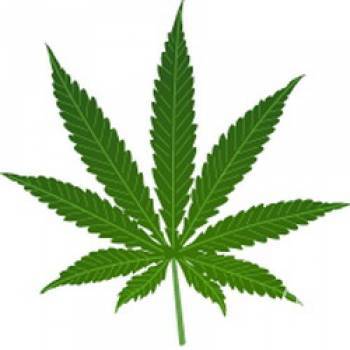 ���������� ����������� �� ��������� � ����