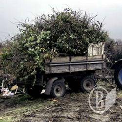 Зеленбуд завалює Чернігів відходами. Незаконно. ФОТОрепортаж Зеленбуд завалює Чернігів відходами. Незаконно. ФОТОрепортаж