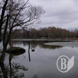 Тіло чоловіка виявлено у ставку на Чернігівщині Тіло чоловіка виявлено у ставку на Чернігівщині