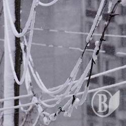 Без електрики залишаються 4 райони Чернігівської області Без електрики залишаються 4 райони Чернігівської області