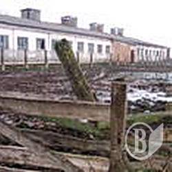 Телят-моржів вирощують на Чернігівщині Телят-моржів вирощують на Чернігівщині