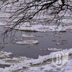 Зниклого знайшли у ставку за тиждень Зниклого знайшли у ставку за тиждень