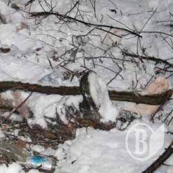 П'яне вбивство. Фото П'яне вбивство. Фото