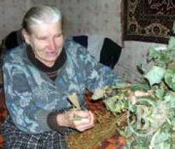 У нас в квартирі... мороз. А у вас? У нас в квартирі... мороз. А у вас?