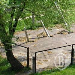 Депутати вирішать долю дитячих майданчиків у Чернігові Депутати вирішать долю дитячих майданчиків у Чернігові