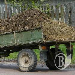 Чтобы получить, нужно занавозить! Чтобы получить, нужно занавозить!
