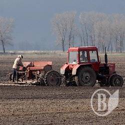 Посівна-2009: Форвардом — по безгрошів’ю Посівна-2009: Форвардом — по безгрошів’ю
