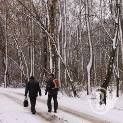 «Люблю зиму в начале марта...» ФОТОрелаксація «Люблю зиму в начале марта...» ФОТОрелаксація