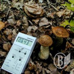 Увага: Радіоактивні харчі! Як запобігти опроміненню Увага: Радіоактивні харчі! Як запобігти опроміненню