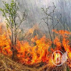 Хата горить? Самі винуваті! ФОТО Хата горить? Самі винуваті! ФОТО