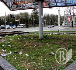 Бермуди в Чернігові. ФОТО гадючника Бермуди в Чернігові. ФОТО гадючника