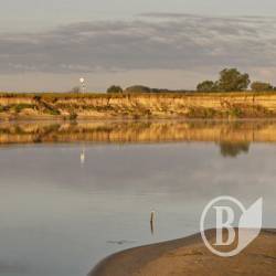 Світанок на Десні. ФОТОрелаксація Світанок на Десні. ФОТОрелаксація