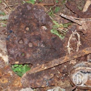 ������� �� ��� ��� ����������� ����������� ���