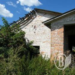 У Новий рік без молока від корови