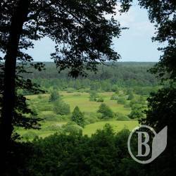 ������ ������� �������� ��������� � ������