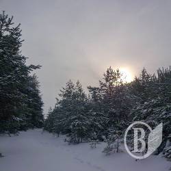 Зимова казка. ФОТОрелаксація