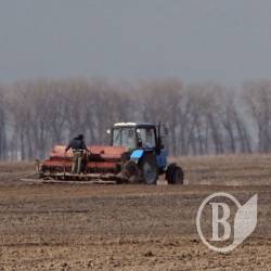 Врожай у три мільйони тонн – не фантастика Врожай у три мільйони тонн – не фантастика