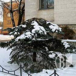 Діяльність Держекоінспекції в Чернігівській області у лютому 2010 року Діяльність Держекоінспекції в Чернігівській області у лютому 2010 року