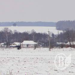 Погодні умови позначаються на стані озимих культур Погодні умови позначаються на стані озимих культур