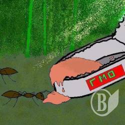 ������ �������� ������������� �������: ������� ������ ������������ ����������