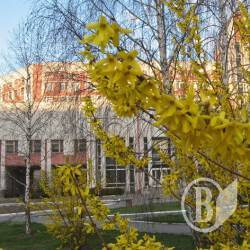 Громадські природоохоронці запрошують до співпраці Громадські природоохоронці запрошують до співпраці