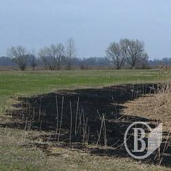 Невідомі палять траву і сміття Невідомі палять траву і сміття