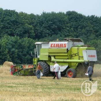 На Чернігівщині завершується збирання ранніх зернових