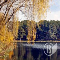 Осінні замальовки Віктора Кошмала. ФОТОрелаксація Осінні замальовки Віктора Кошмала. ФОТОрелаксація