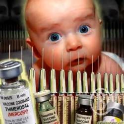 ʳ ²-    Ͳ     19%  26% 