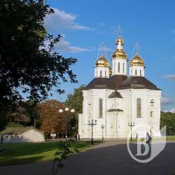 ���� �����������: ���� ������. ������������