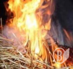 Пожежа за заповітом Леніна. Палять месники