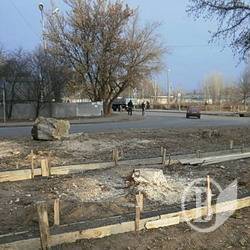 Чому зносять дерева замість покинутих споруд? ФОТО Чому зносять дерева замість покинутих споруд? ФОТО