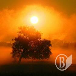 Маршрут «Східна Чернігівщина». ФОТО