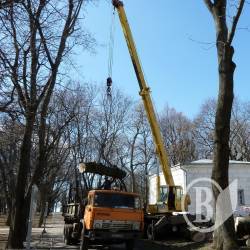 Навіщо на Валу зносять дерева під виглядом «сухих»? (Фоторепортаж: продовження)