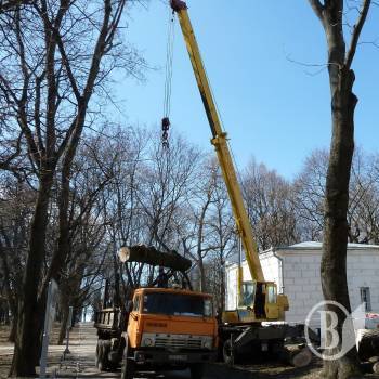Навіщо на Валу зносять дерева під виглядом «сухих»? (Фоторепортаж: продовження) Навіщо на Валу зносять дерева під виглядом «сухих»? (Фоторепортаж: продовження)